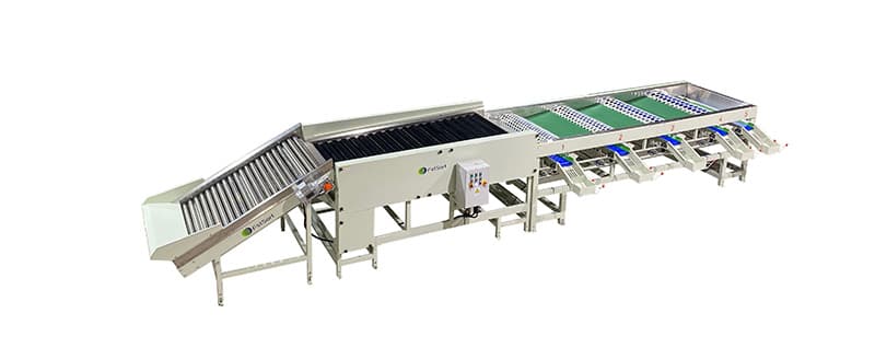 images/1684916410024garlic cleaning grading machine.jpg